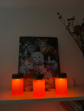 Spooky Lamp - Halloweenowe Znicze Solarne - 4 sztuki